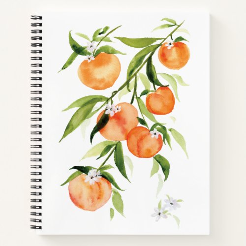 Watercolor peach summer fruit large notebook