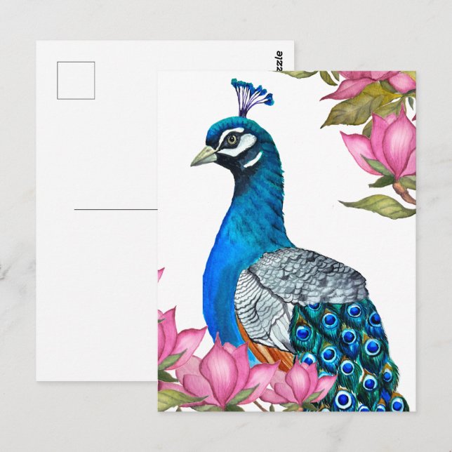 Watercolor peacock postcard (Front/Back)
