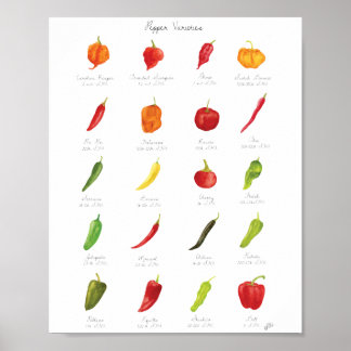 Watercolor Pepper Varieties Infographic Poster