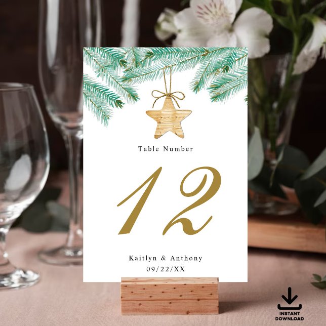 Watercolor Pine Bough Winter Wedding Table Number (Creator Uploaded)