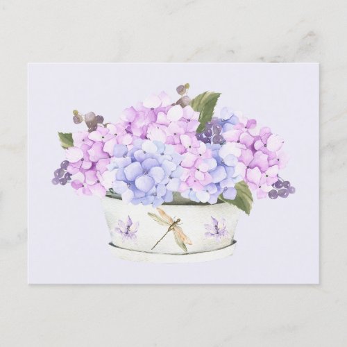Watercolor Pink and Purple Hydrangea Flowers  Postcard