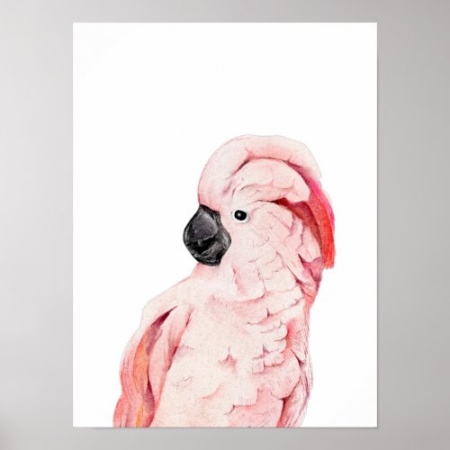 Watercolor Pink Cockatoo Moluccan  Poster
