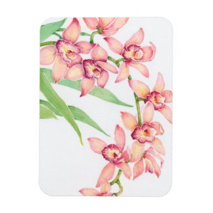 Watercolor Pink Flowers Magnet