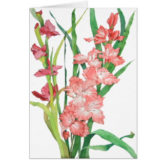Watercolor Pink Gladiolas