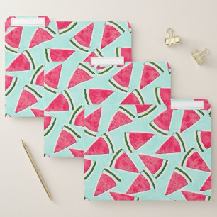 Watercolor Pink Green Watermelon Triangles File Folder