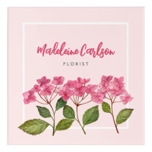 Watercolor Pink Hydrangea Lacecaps Illustration Acrylic Print