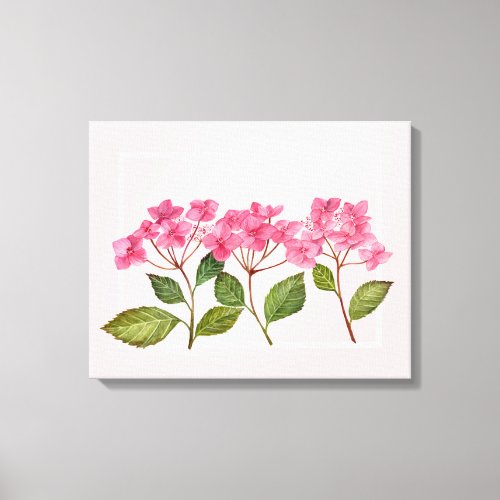 Watercolor Pink Hydrangea Lacecaps Illustration Canvas Print