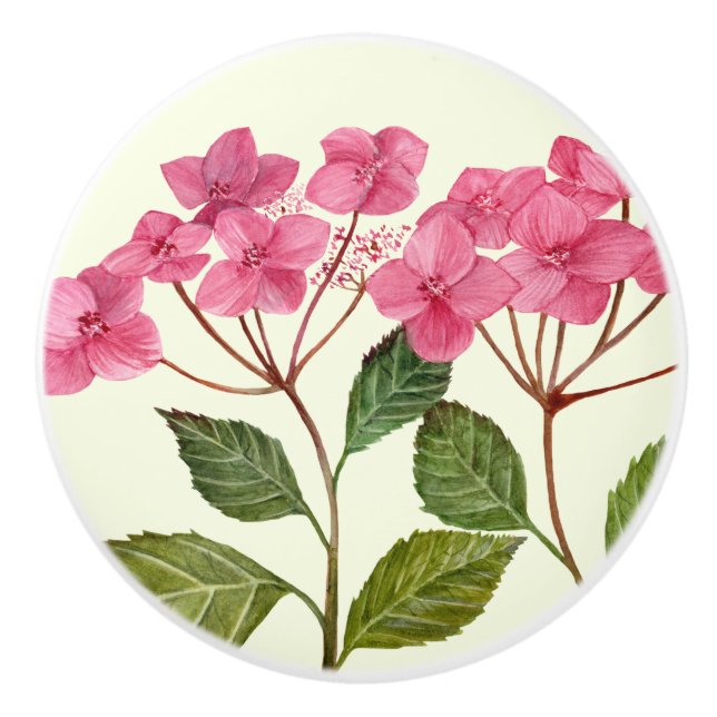 Watercolor Pink Hydrangea Lacecaps Pattern Ceramic Knob (Front)