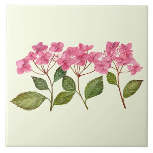 Watercolor Pink Hydrangea Lacecaps Pattern Ceramic Tile