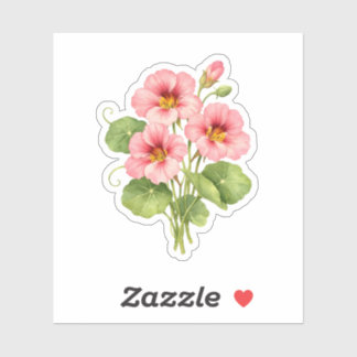 Watercolor Pink Nasturtium Flowers  Sticker