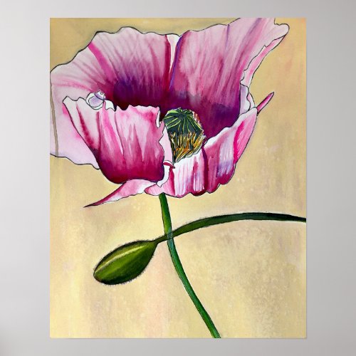 Watercolor pink poppy art flower poster