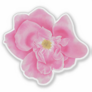 Watercolor Pink Rose Floral Botanical Sticker