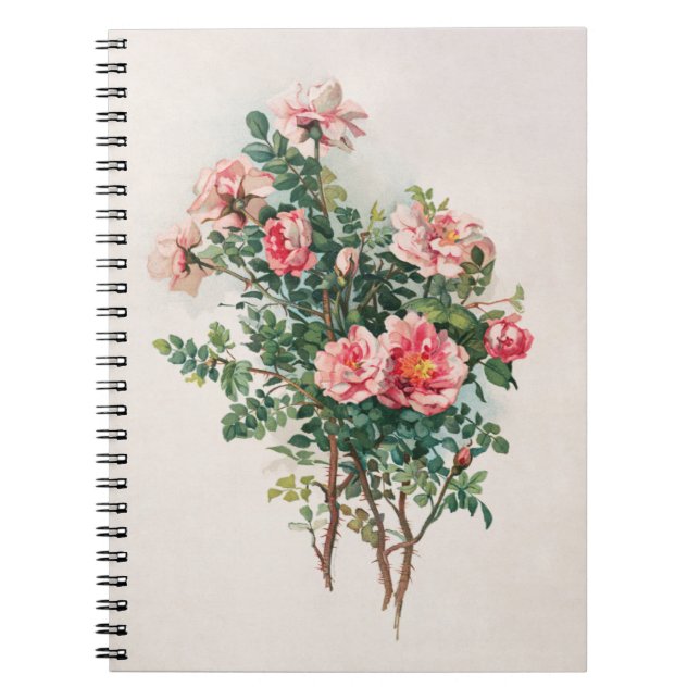 Watercolor Pink Roses Notebook (Front)