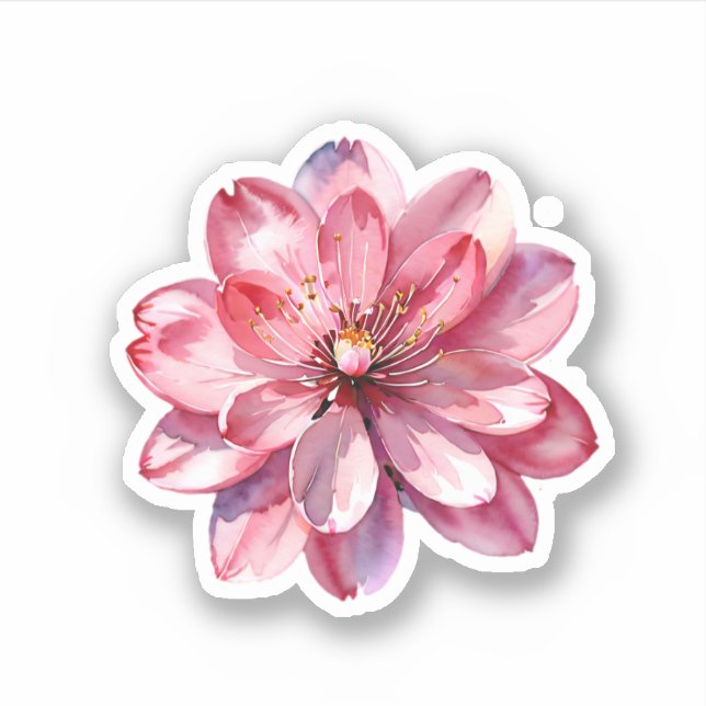 Watercolor Pink Sakura Cherry Blossoms Flower Sticker (Front)