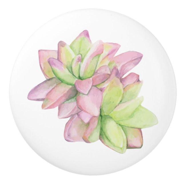 Watercolor Pink-tipped Succulent Ceramic Knob (Front)