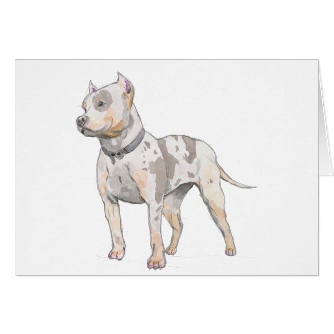 Watercolor Pit Bull Dog Card
