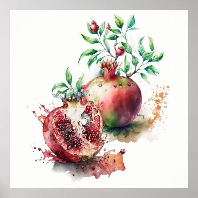 Watercolor Pomegranates  Poster (Front)