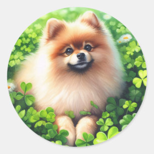 Watercolor Pomeranian Green Shamrock Field Classic Round Sticker