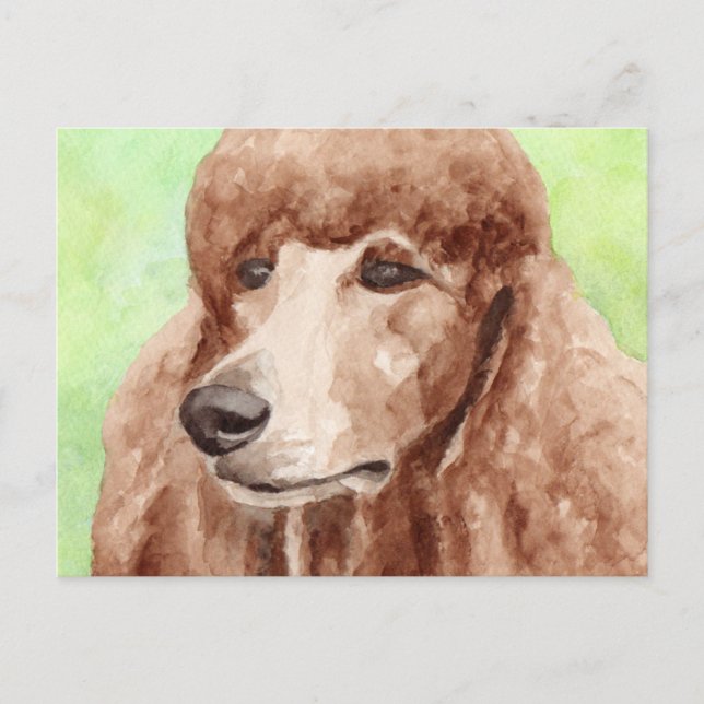 Watercolor Poodle Postcard (Front)
