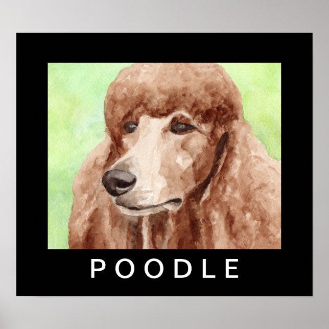 Watercolor Poodle Poster (Front)