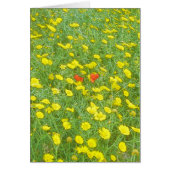 Watercolor poppies (Front)