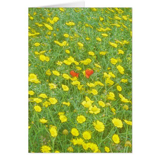 Watercolor poppies (Front)