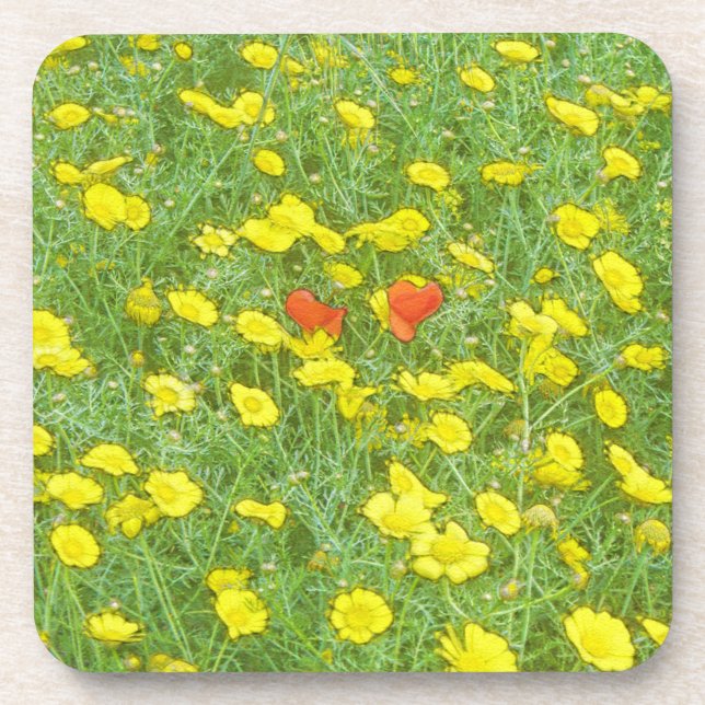 Watercolor poppies beverage coaster (Front)