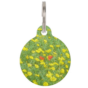 Watercolor poppies pet name tag