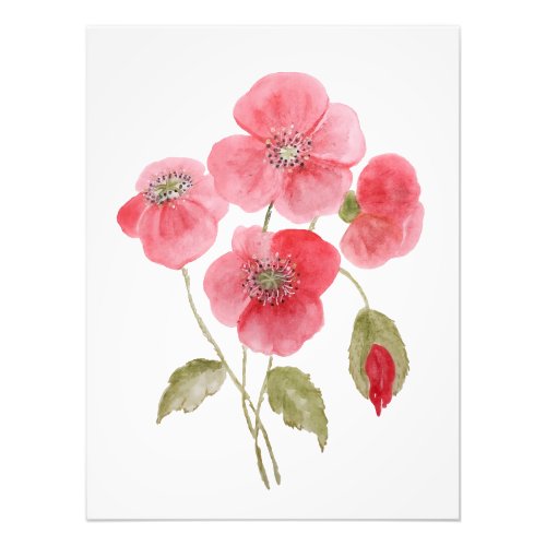 Watercolor poppy flower photo print