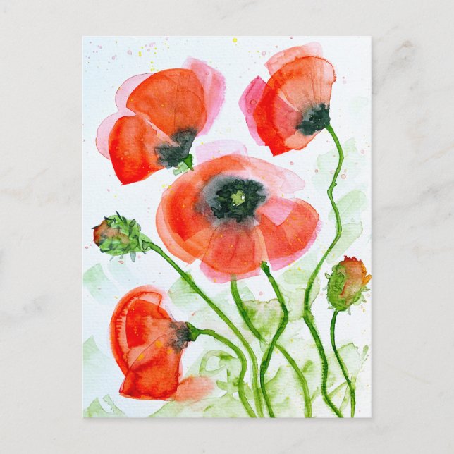 Watercolor poppy flowers in summer holiday postcard (Front)