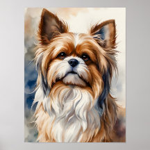Watercolor Portrait Pose Sweet Shih Tzu Dog
