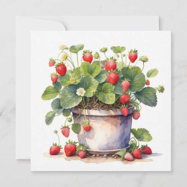 Watercolor Pot with Strawberry Plants Card (Front)