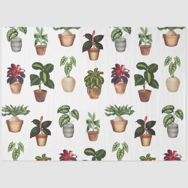 Watercolor Potted Plants Terracotta Pots Pattern  Tissue Paper (Front)