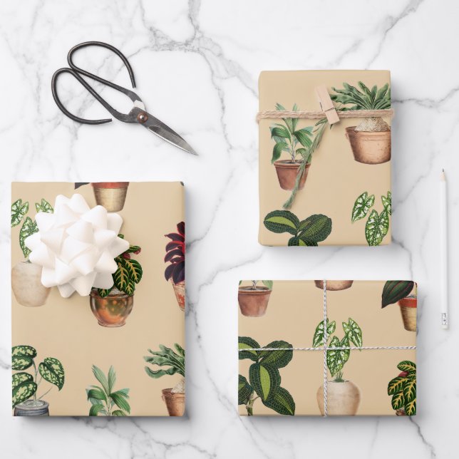 Watercolor Potted Plants Terracotta Pots Pattern  Wrapping Paper Sheets (Front)