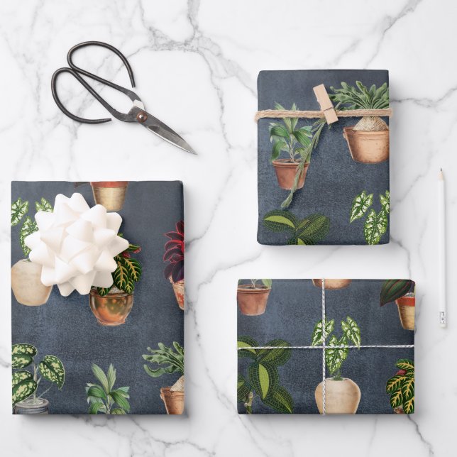 Watercolor Potted Plants Terracotta Pots Rustic Wrapping Paper Sheets (Front)