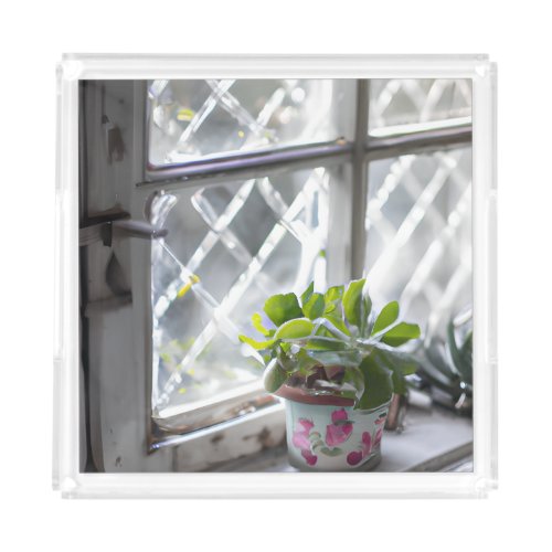 Watercolor Pretty Plant in the Window Acrylic Tray