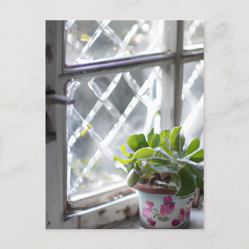 Watercolor Pretty Plant in the Window Postcard