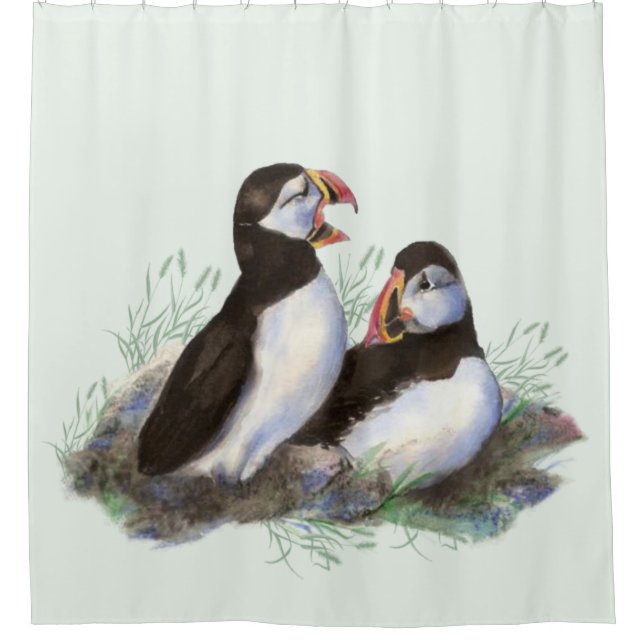 Watercolor Puffin Bird Family Light Green bkground Shower Curtain (Front)