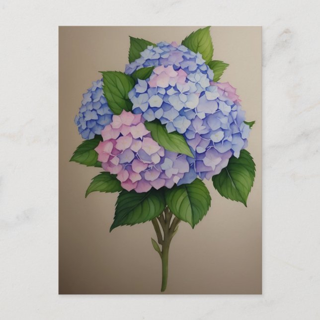 Watercolor Purple Hydrangea Flower Postcard (Front)