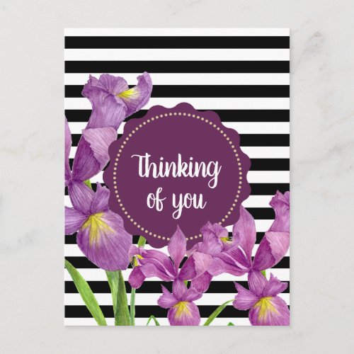 Watercolor Purple Iris Black White Stripes Pattern Postcard