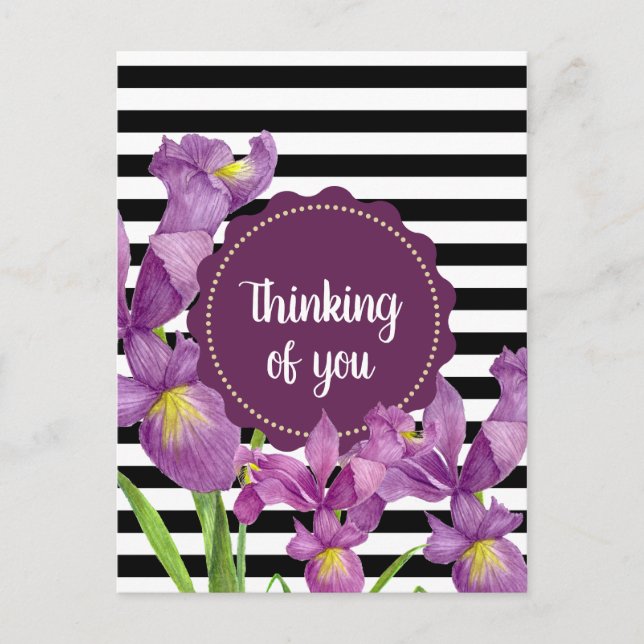 Watercolor Purple Iris Black White Stripes Pattern Postcard (Front)