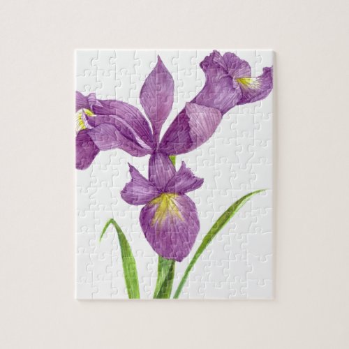 Watercolor Purple Iris Botanical Floral Art Jigsaw Puzzle