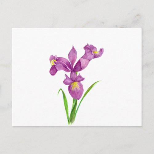 Watercolor Purple Iris Botanical Floral Art Postcard