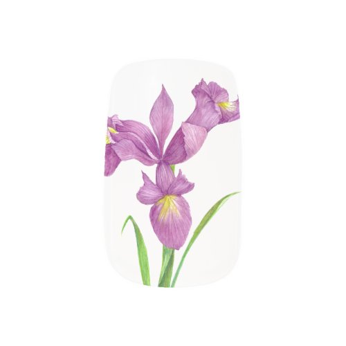 Watercolor Purple Iris Floral Illustration Minx Nail Art