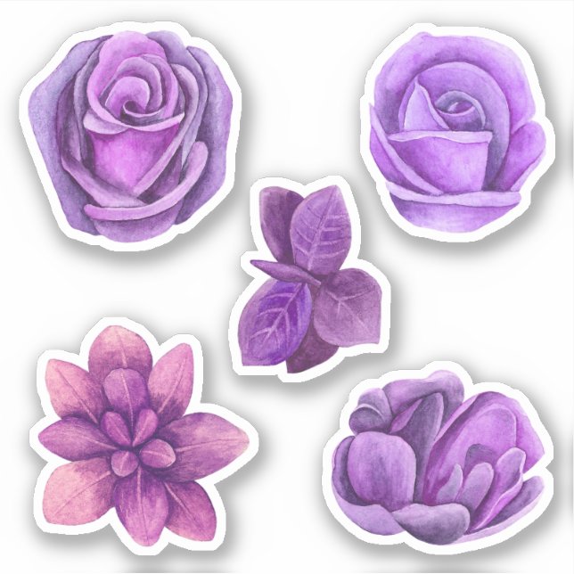 Watercolor purple roses flowers. Lilac floral Sticker (Front)