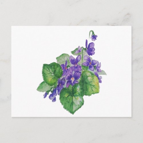 Watercolor Purple Violet Flower  Floral Art Postcard