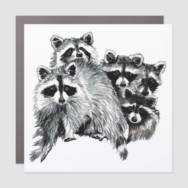 Watercolor Raccoon Family Animal Art Car Magnet (Front)