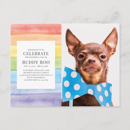 Watercolor Rainbow Stripes Pet Memorial Invitation Postcard