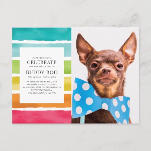 Watercolor Rainbow Stripes Pet Memorial Invitation Postcard