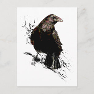 Watercolor  Raven Bird  Animal Art Postcard